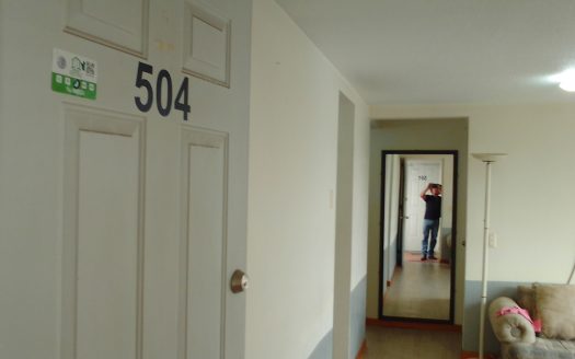 DEPARTAMENTO EN VENTA COL.CUAUHTEMOC